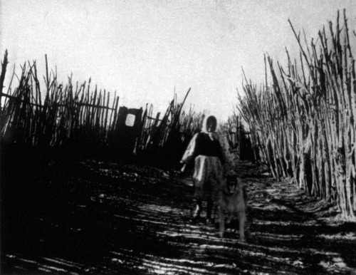 unexplained-events:  Charlie Noonan’s Last Interview (from creepypasta) “Charlie Noonan was an amateur folklorist who travelled throughout the South and Southwestern United States during the early years of the 20th century, collecting tall tales