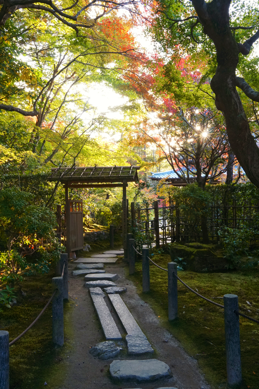 chitaka45:京都 南禅寺 天授庵 🍁紅葉2018🍁 kyoto nanzenji tenjuam temple