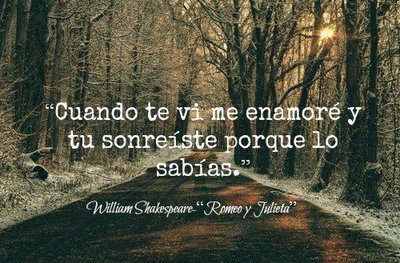 ~campos de fresa~