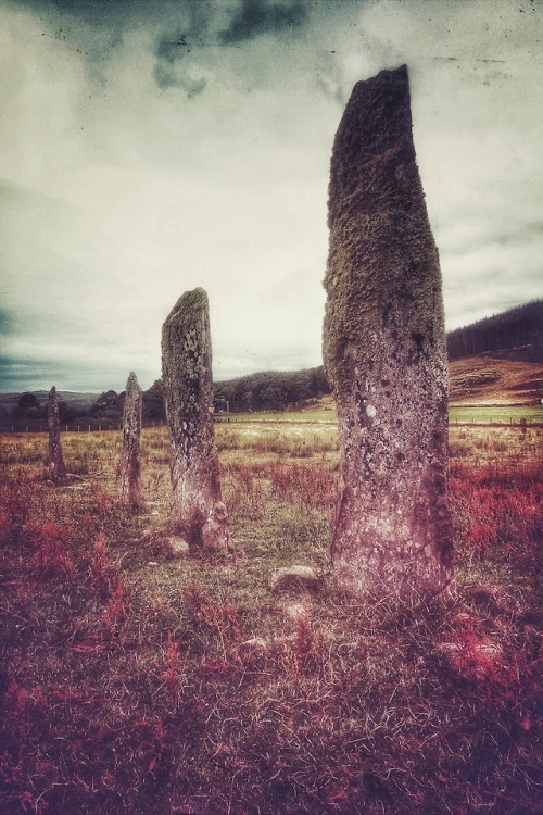Ballymeanoch Standing Stones, Kilmartin Glen, Argyll, Scotland, 14.7.18.