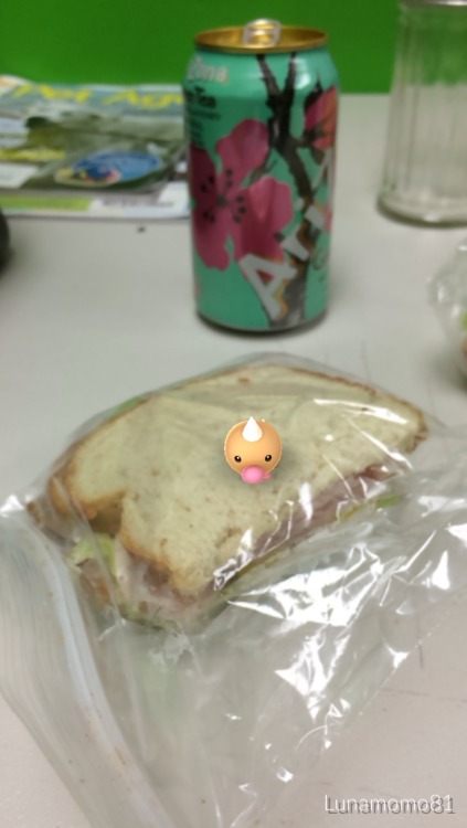 fluffy-eevee:That’s my sandwich