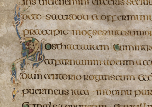 artofthedarkages:50r, Gospels, MS 58, Trinity College Dublin