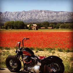 bobber1340:à Montagne Sainte-Victoire