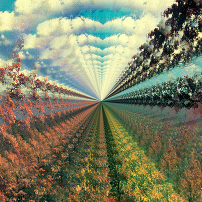 ✨Lucidity✨