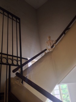 mamamidnight:  kohpai:  kohpai:  so I was at school and suddenly I saw this skeleton at the stairway?? that part of the stairway is closed literally no one can go there that skeleton wasn’t there before how  so the next day I go to the school cafetaria