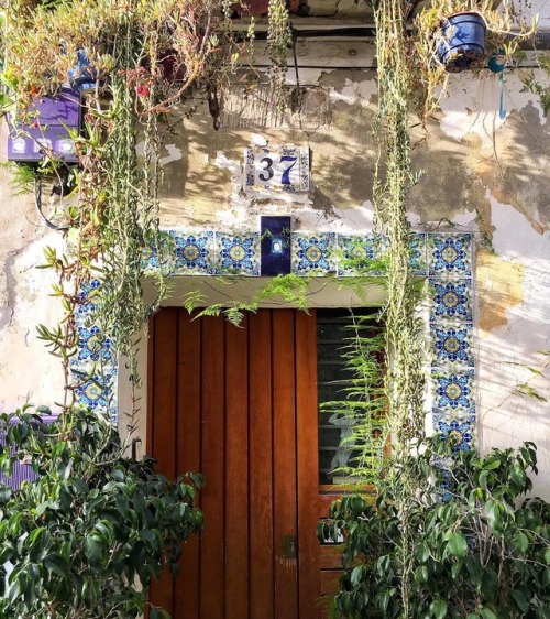 useless-catalanfacts: A door in Alacant’s old neighbourhood called Barri de la Santa Creu (&ld