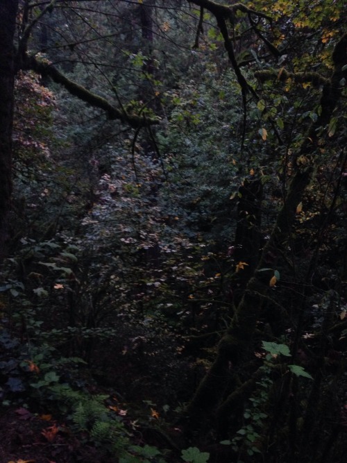 skelos:  witches castle, portland, or 