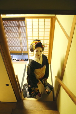 geisha-kai:  Toshikana dressed formally for the New Year (SOURCE)She’s now a famous geiko in Miyagawacho!