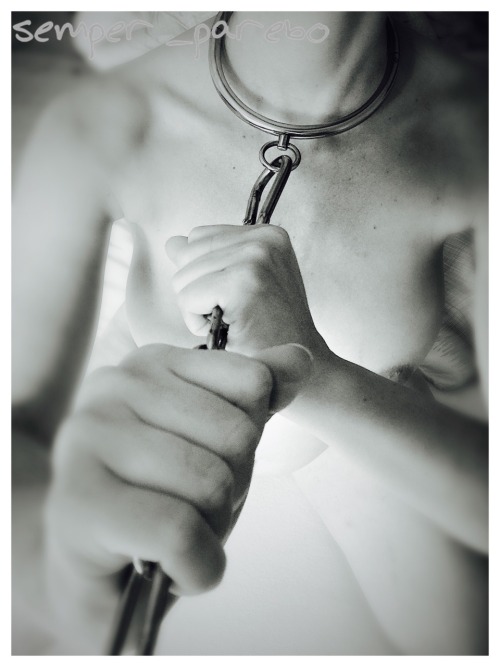semper-parebo:  …my masters pregnant slave… 