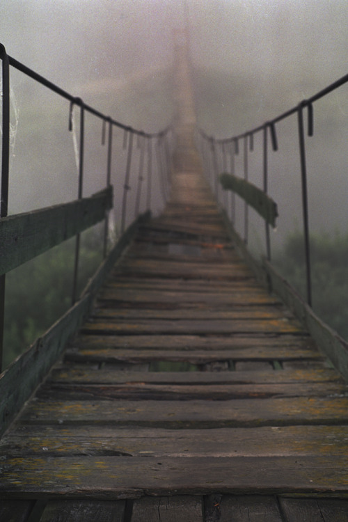 tearingdowndoors:  Road to the forest || Anton Novoselov