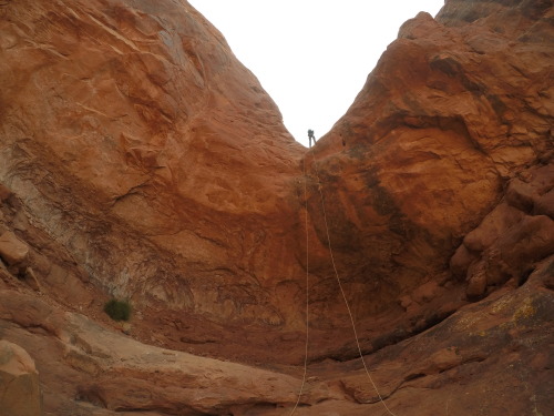 Down the last rappel in Elephant ButteMoab, Utah