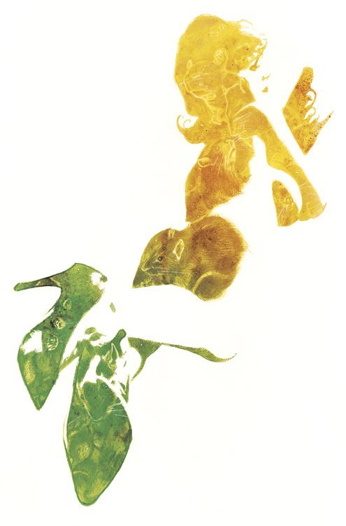 imthenic:  Fairest covers by Adam Hughes