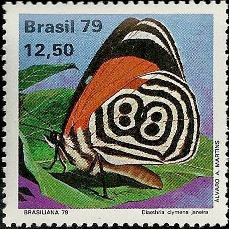 a 1979 Brazilian stamp depicting a Cramer’s Eighty-eight butterfly[id: a square postage stamp 