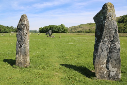 Nether Largie Standing Stones, Kilmartin Glen, Argyll, 3.6.16. Three sets of standing stones, comple
