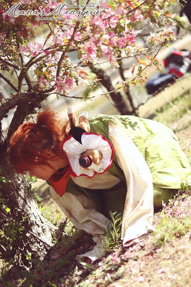 Red at the Bookfair, Spring blossoms <3 As mentioned ages  I really liked this spot. Photos by @adragonstale