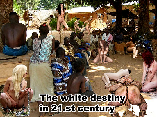 black-supremacy-white-extinction:  whiteboy4blacks:ES DARF AB JETZT KEINE GNADE MEHR