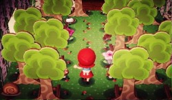 moonliteacnl:  annvice:  Little Red Riding