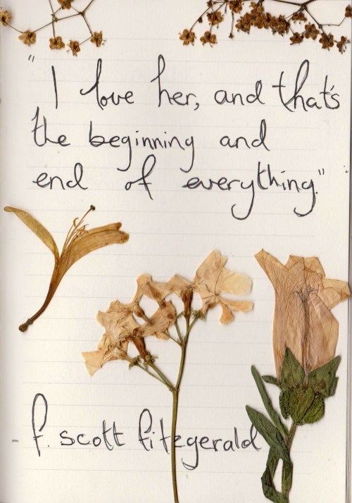 whatever-you-write:I love her, and that’s the beginning and the end of everything