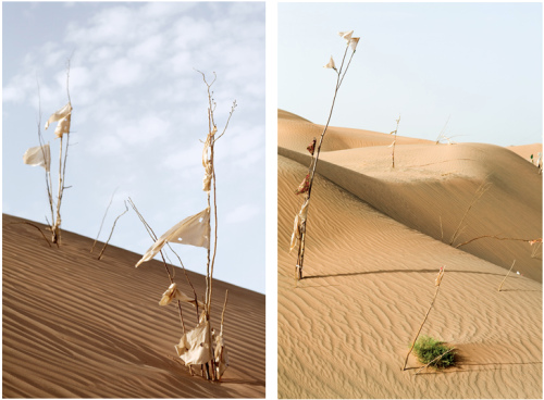 Lisa Ross: Living ShrinesLisa Ross’s ethereal photographs of Islamic holy sites were created over th