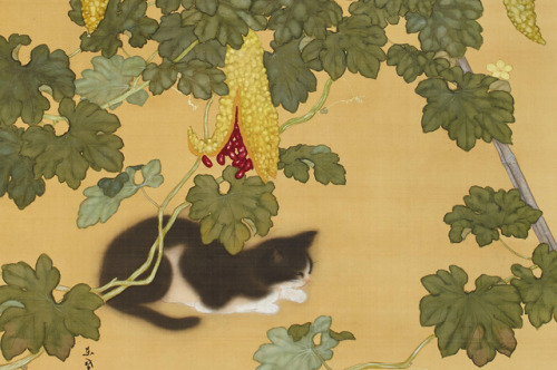 huariqueje:Cat and bitter melon (Detail) -   Togyū Okumura Japanese,1889-1990