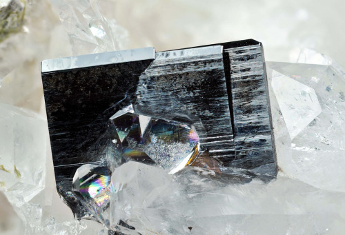 themineralogist:  Brookite (by fluor_doublet)