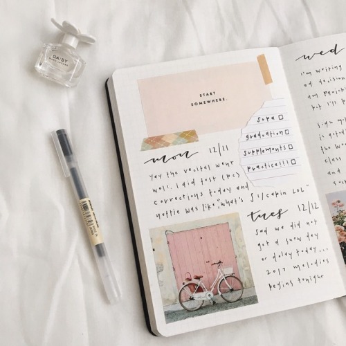 samstudies61:  pink theme!!