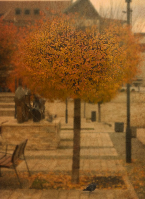loralain: - loneliness -
