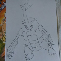 Quick Pokémon variation 2/? Heracross w.