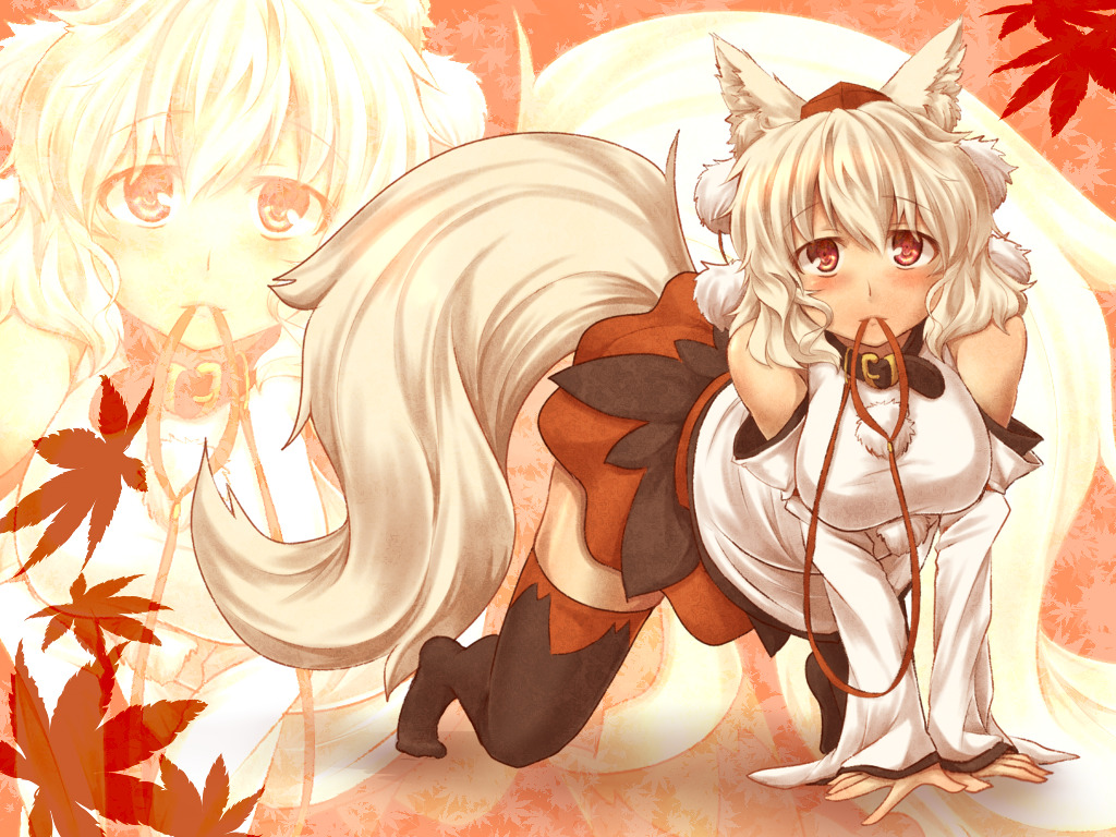 wolfgirlpassion:  Source