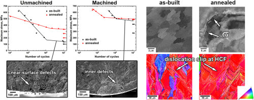 Scientists investigate 3-D-printed high-entropy alloysScientists from the Skoltech Center for Design