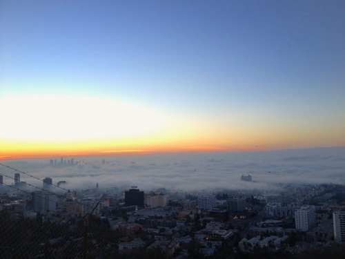 Foggy L.A sunrise at Runyon Canyon. Los Angeles, CA