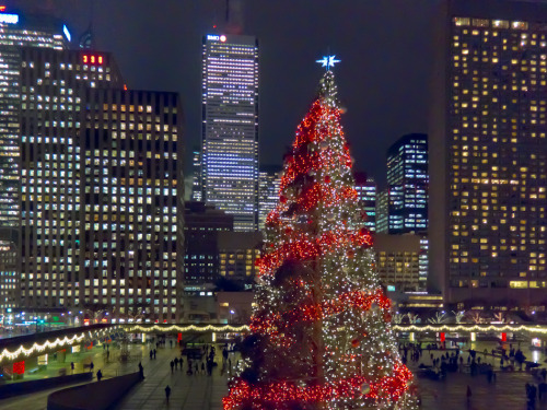 Merry Christmas from Toronto