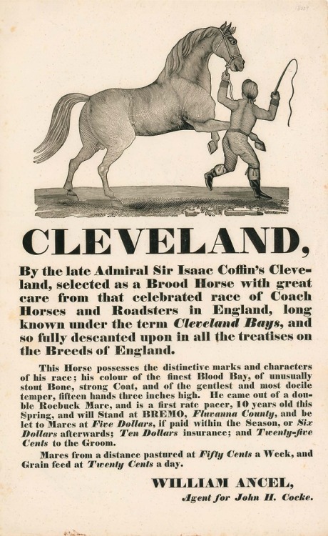 Cocke, John Hartwell, 1780-1866. Cleveland, by the late Admiral Sir Isaac Coffin&rsquo;s Cleveland, 