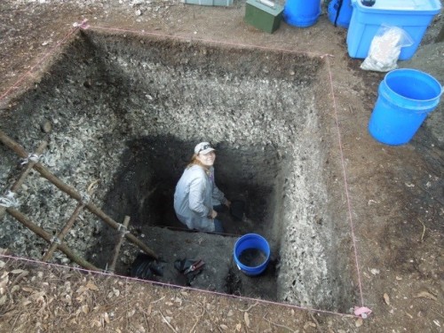 archaeologyfandom:(x) “The Lower Suwannee Archaeological Field School is a nine-credit field practic