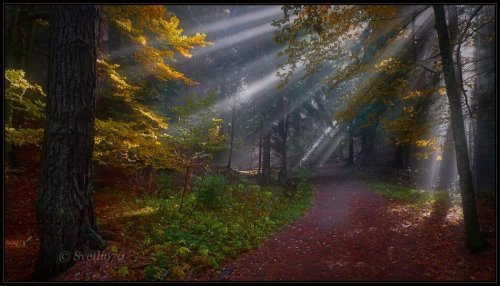 SvetoslavBulgaria / Vitosha