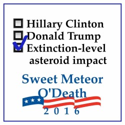 quoms:  reasons to vote 55,000 miles per hour - let’s see the other candidates do that has spent 10,000 years hurtling at the earth with the sole objective of sending all life into oblivion - doesn’t flip-flop on the issues second ever catholic president