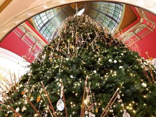 Carolling at @theqvb today under the @swarovski Christmas tree #ilovechristmas #sydney #descants #ch