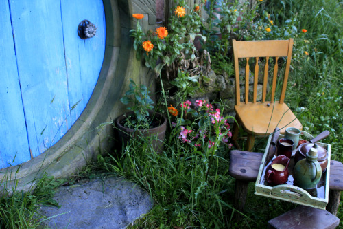 fortysixthhour:  small details of hobbiton 1. mailbox 2. looking out from inside a hobbit hole 3. cl