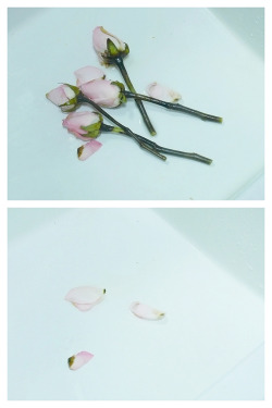 cassandracrux:  sad-plath:  花的腐败