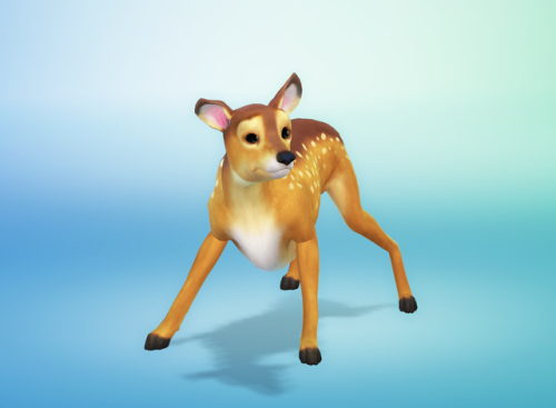 nolween-sims:      Deer - By Nana :  Download     -Deer is a big dog      -Put the Tray files in Tray folder      -Don’t claim as your own !      -Don’t reupload !     Hope you like ^^ Have fun ! ∩( ・ω・)∩   Please reblog   ♥