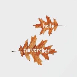 oldfarmhouse: “hello November! October