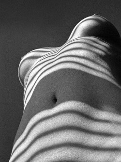 hapticperceptions:  striped NUDE by Stefan Randlkofer, 2002