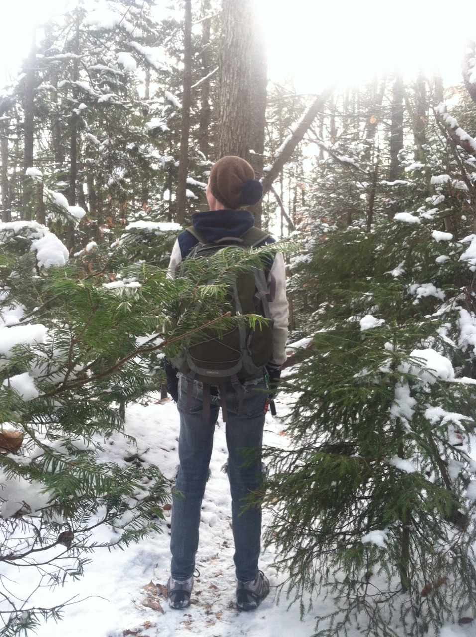 vegan-farts:  a-moviescript-ending:  Hiked to the top of a mountain to propose. She