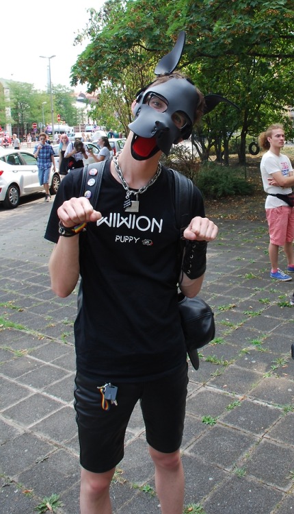 Puppy at the CSD Nürnberg It have been a great day, even if it was much to hot :D