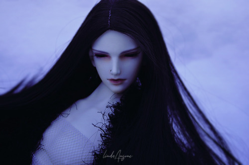 lma-dolls