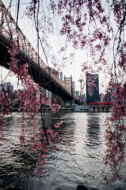 now-youre-cool:  The 59th Street Bridge, New York City
