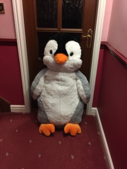 I purchased this giant penguin plushie about a week ago and feel required to tell you named it “Dash” And it’s middle name will likely be Mono.thank u for welcoming me into ur home