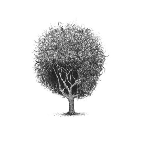 devidsketchbook: TREES WITH HAIRCUTS Illustrator Jonny Glover