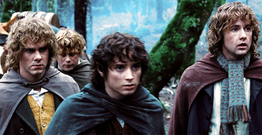 allnerds:  It never ceases to amaze me, the courage of hobbits.