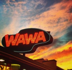 baetology:  wetamup:  Wawa’s in MD don’t use that signage  This place is retro bc it’s at the jersey shore. The normal ones by me arent like this either.  Gotcha. Learnt something